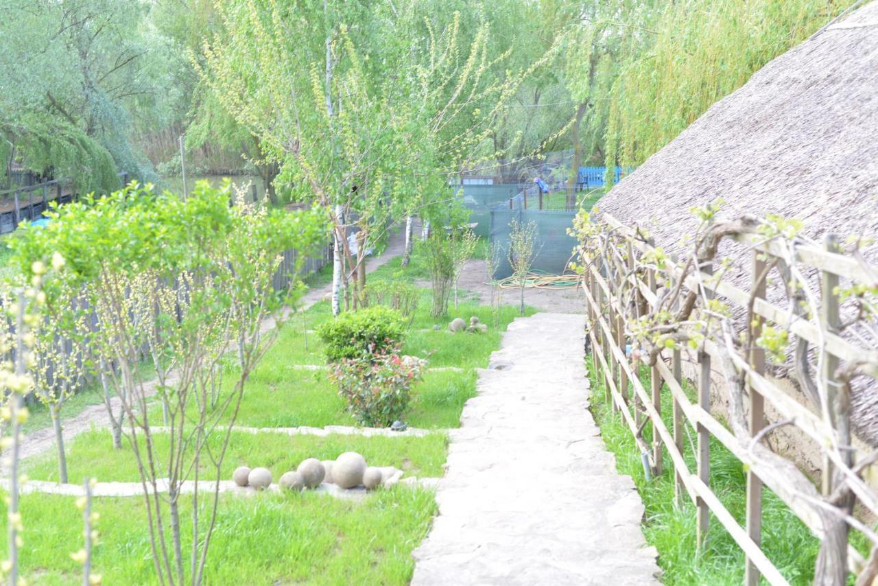 Pensiunea Yogi Дунавэцу-де-Жос Экстерьер фото